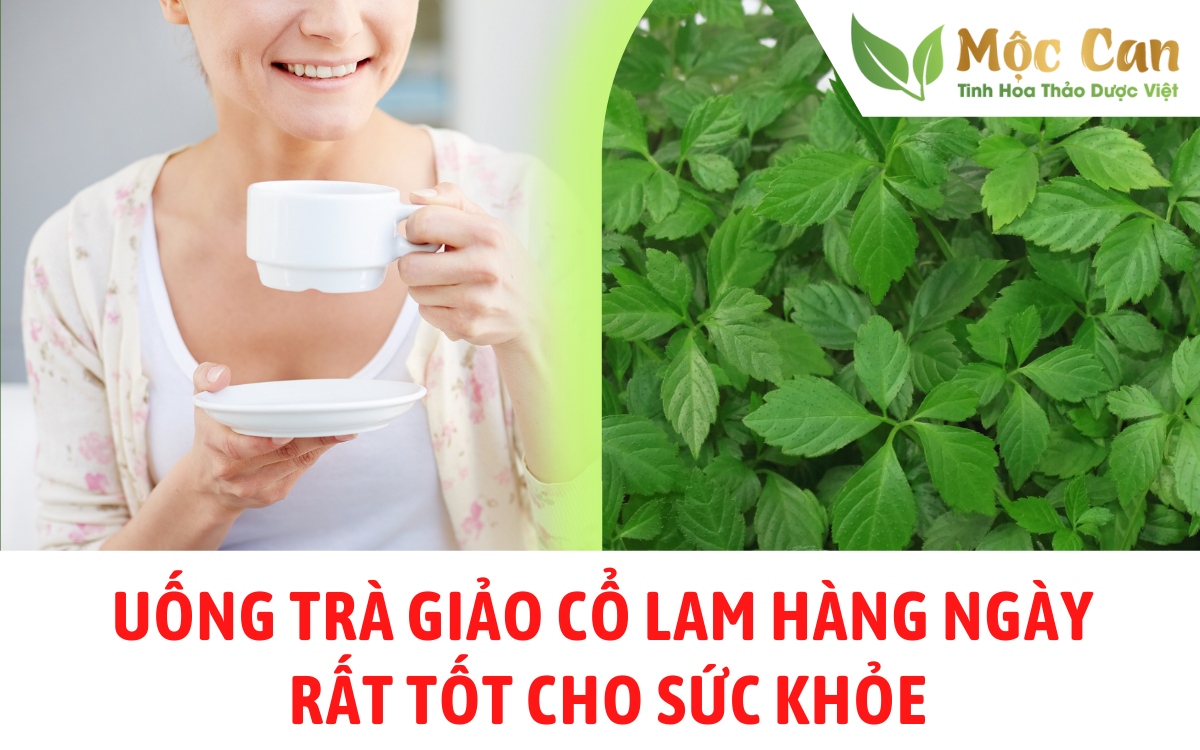 Uống trà giảo cổ lam hàng ngày tốt cho sức khỏe 1